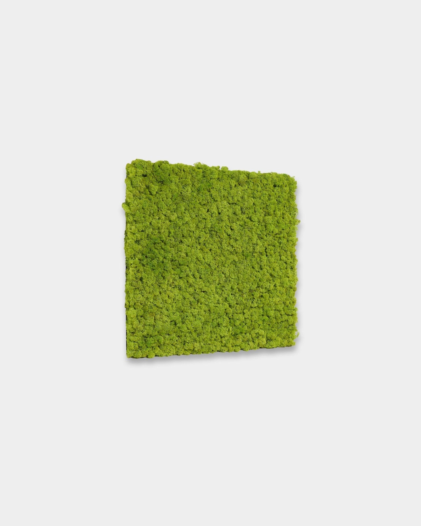 WoodUpp Akupixel acoustic panel in Apple Green, 60 x 60 cm size, features vibrant green slats set against a plain white background.