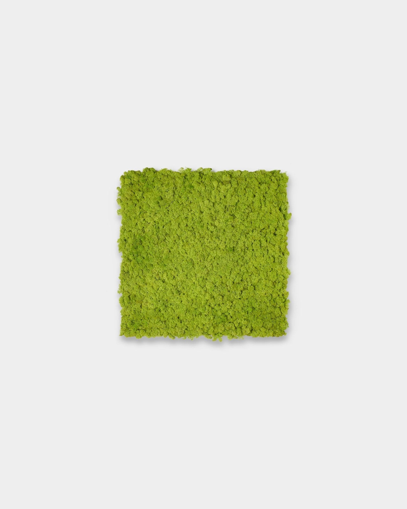 Akupixel acoustic panel in Apple Green, 60x60cm, by WoodUpp displayed as a square accent against a plain light gray background.