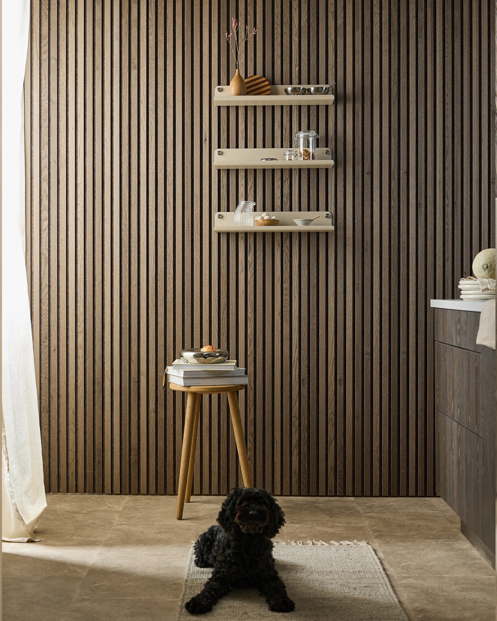 A black dog lies on a rug in a modern room featuring an Akupanel acoustic panel wall, beige WoodUpp Norr Wide Shelf (51.9 cm), stool with books, and soft light.
